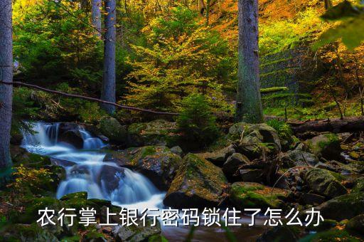 農(nóng)行登陸密碼鎖定了怎么辦，中國(guó)農(nóng)業(yè)銀行登錄密碼鎖定怎么辦