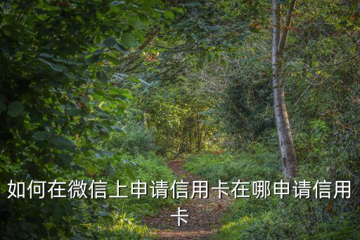 如何在微信上申請(qǐng)信用卡在哪申請(qǐng)信用卡