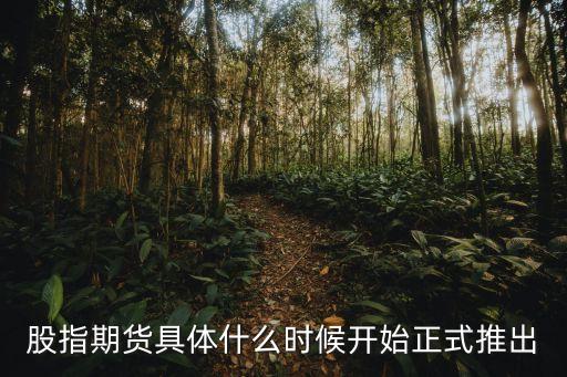 股指期貨什么時候推出的，股指期貨具體什么時候開始正式推出