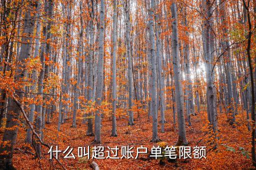 單筆超限額是什么意思，交易金額超出客服單筆支付限額什么意思