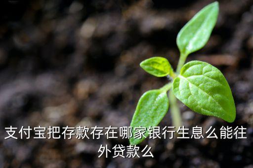 支付寶把存款存在哪家銀行生息么能往外貸款么
