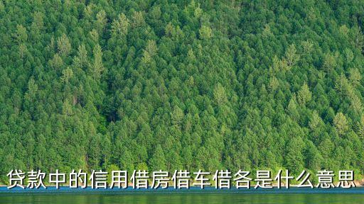 貸款中的信用借房借車借各是什么意思