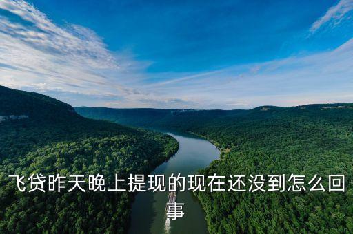 飛貸昨天晚上提現(xiàn)的現(xiàn)在還沒到怎么回事
