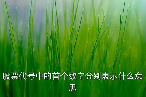 股票代號(hào)中的首個(gè)數(shù)字分別表示什么意思