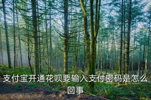 支付寶開(kāi)通花唄要輸入支付密碼是怎么回事