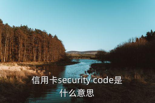 信用卡security code是什么意思