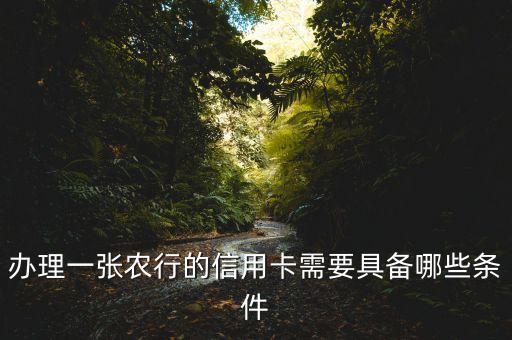 辦理一張農(nóng)行的信用卡需要具備哪些條件