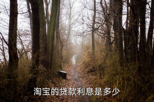 淘寶貸款日利率怎么算，淘寶上的貸款是怎么算利息的