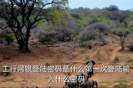 工行網(wǎng)銀登陸密碼是什么第一次登陸輸入什么密碼