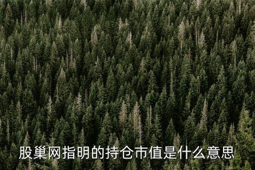 股巢網(wǎng)指明的持倉市值是什么意思