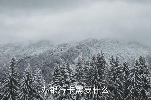 去銀行辦卡需要什么，辦理銀行卡需要什么