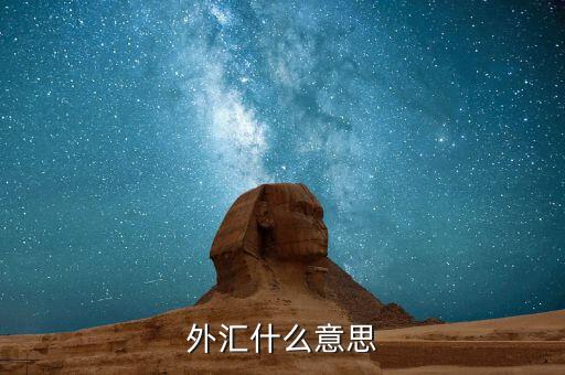 外匯交易指什么意思，外匯什么意思