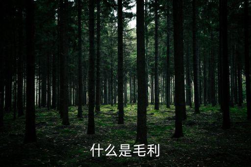 什么是毛利額，毛利額是什么