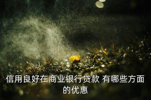 信用良好在商業(yè)銀行貸款 有哪些方面的優(yōu)惠