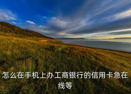 怎么在手機(jī)上辦工商銀行的信用卡急在線等