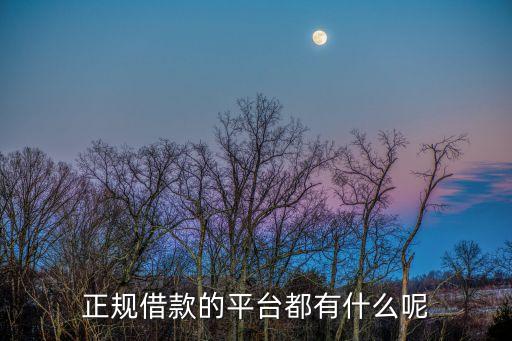 正規(guī)借款的平臺都有什么呢