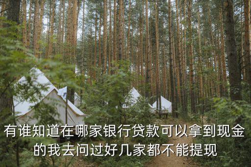 什么銀行貸款可以取現(xiàn)，想請問一下現(xiàn)在哪家銀行可以貨現(xiàn)金出來有抵押物