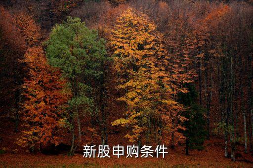 上海股票打新什么條件，申購新股的條件是