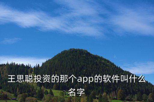 王思聰投資的那個app的軟件叫什么名字