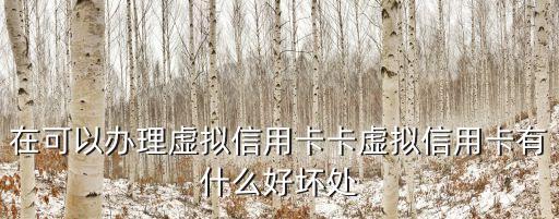 在可以辦理虛擬信用卡卡虛擬信用卡有什么好壞處