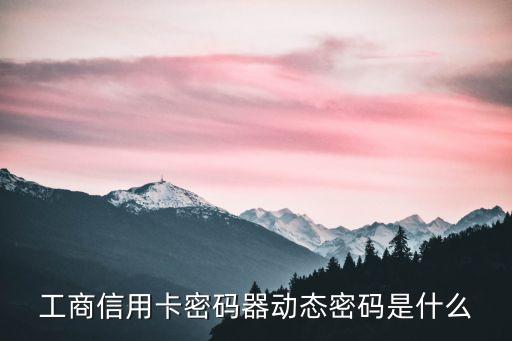 工商信用卡密碼器動態(tài)密碼是什么