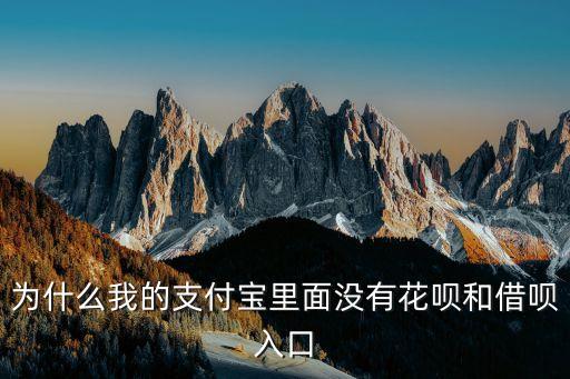 為什么我的支付寶里面沒(méi)有花唄和借唄入口
