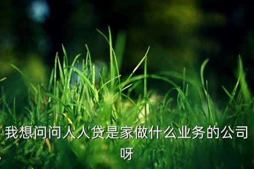 我想問問人人貸是家做什么業(yè)務(wù)的公司呀