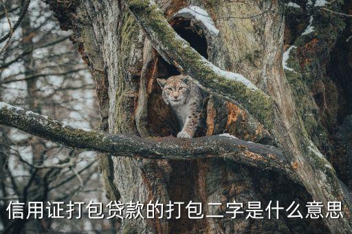 打包貸款是什么意思，次貸危機(jī)這個(gè)貸款打包是什么意思