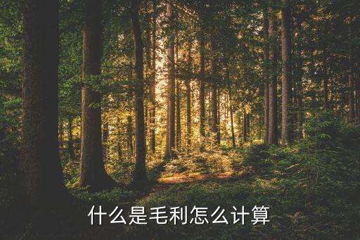 銷售毛利是什么，銷售中的毛利和純利是什么意思