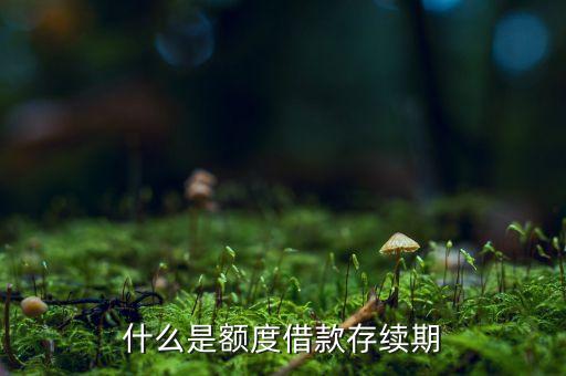 什么是額度借款存續(xù)期
