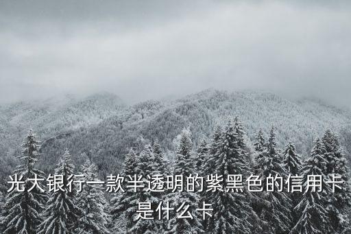光大銀行黑卡是什么卡，黑卡是什么卡