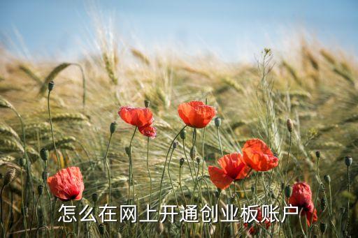 怎么在網(wǎng)上開通創(chuàng)業(yè)板賬戶