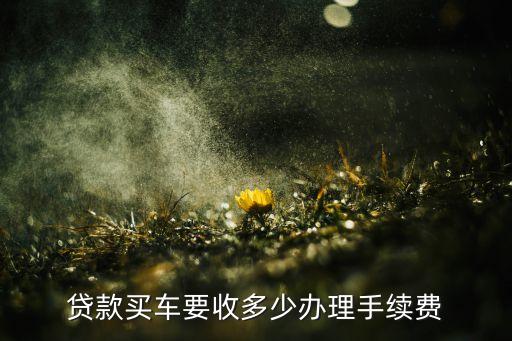貸款買車要收多少辦理手續(xù)費(fèi)
