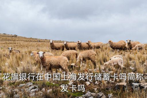 花旗銀行 最早什么時(shí)候來上海，外灘的花旗銀行建于幾幾幾幾年