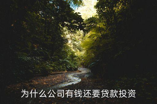 為什么公司有錢還要貸款投資