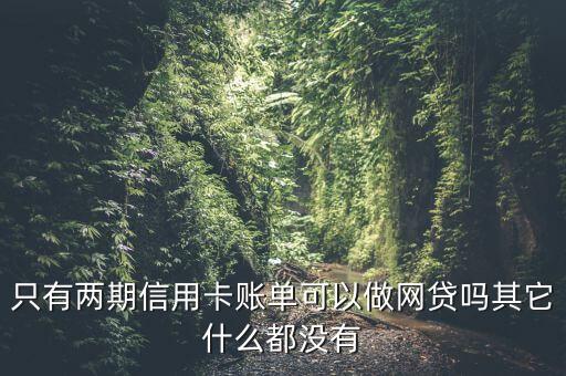 信用卡賬單可以貸什么，有哪些是需要信用卡賬單才能貸款的
