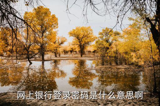 網(wǎng)上銀行登錄密碼是什么意思啊