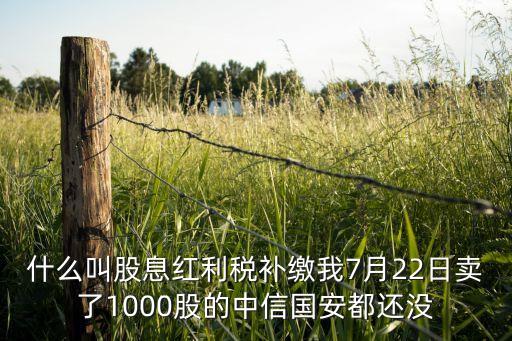 什么叫股息紅利稅補繳我7月22日賣了1000股的中信國安都還沒