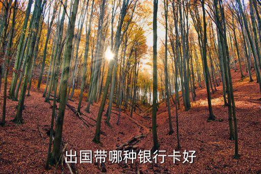 境外消費(fèi)什么銀行卡好，哪個(gè)銀行的信用卡在境外消費(fèi)比較好