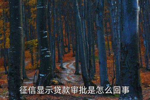 貸款申請(qǐng)記錄是什么情況，征信顯示貸款審批是怎么回事