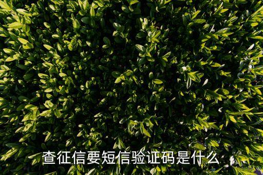 查征信要短信驗(yàn)證碼是什么