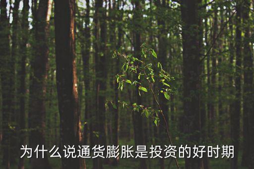 為什么說通貨膨脹是投資的好時期