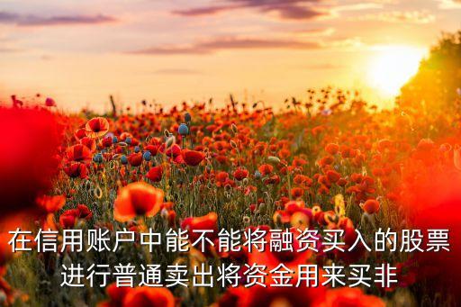 信用賬戶是什么，ATM機上的信用用戶儲蓄用戶等是什么意思有什么區(qū)別