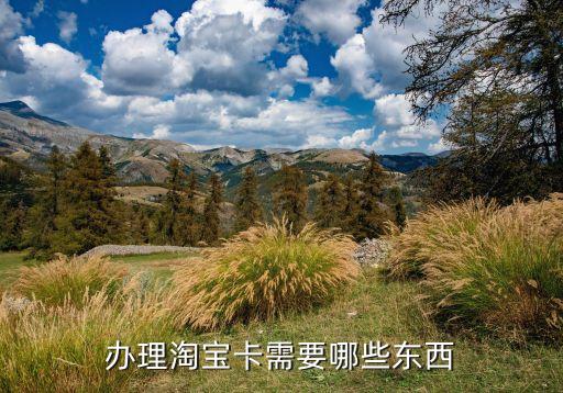 辦理淘寶卡需要哪些東西