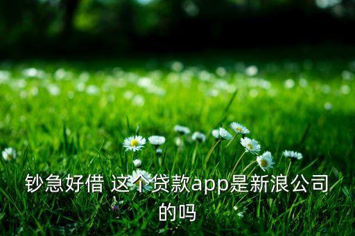 鈔好貸是什么公司，鈔急好借 這個貸款app是新浪公司的嗎