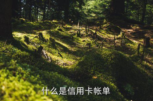 什么是信用卡帳單