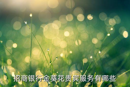 招商尊貴卡有什么用，招商銀行信用卡尊貴持卡用戶有什么好處