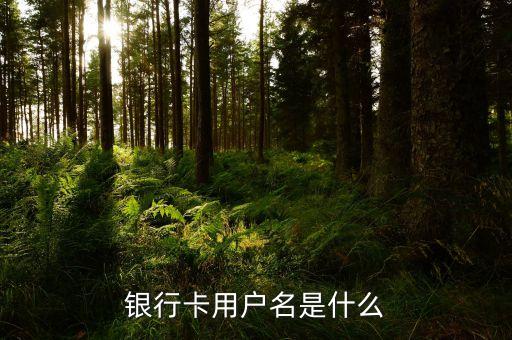 銀行卡用戶名是什么