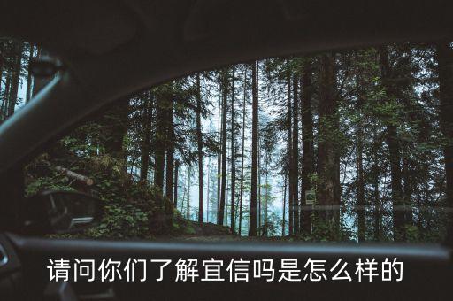請(qǐng)問你們了解宜信嗎是怎么樣的
