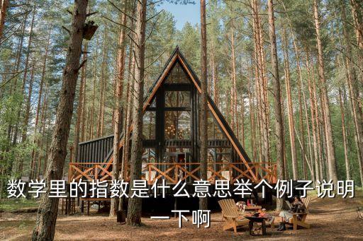 指數(shù)667 668 什么意思，數(shù)學里的指數(shù)是什么意思舉個例子說明一下啊